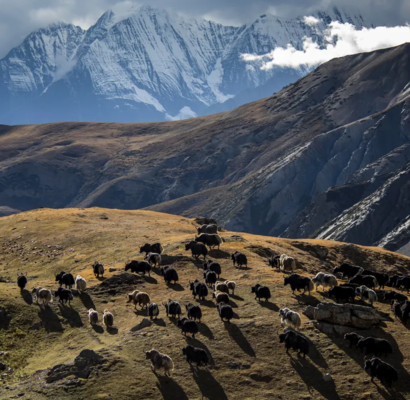 Lanmuse La pass Upper Dolpo Trek