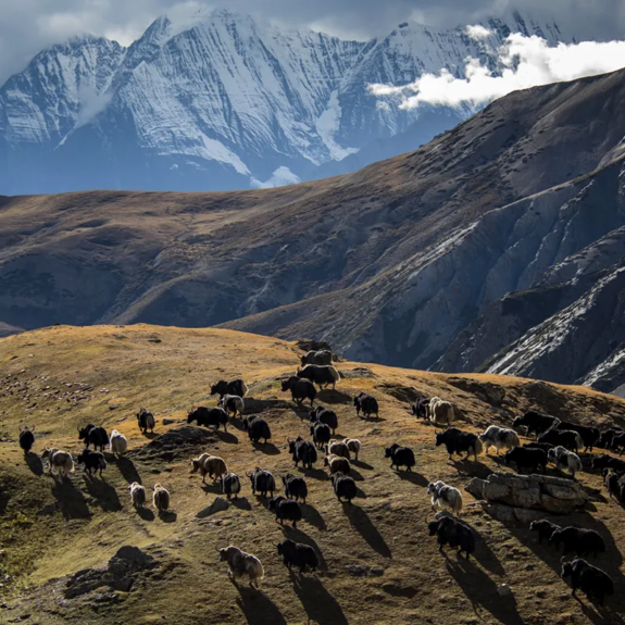 Lanmuse La pass Upper Dolpo Trek
