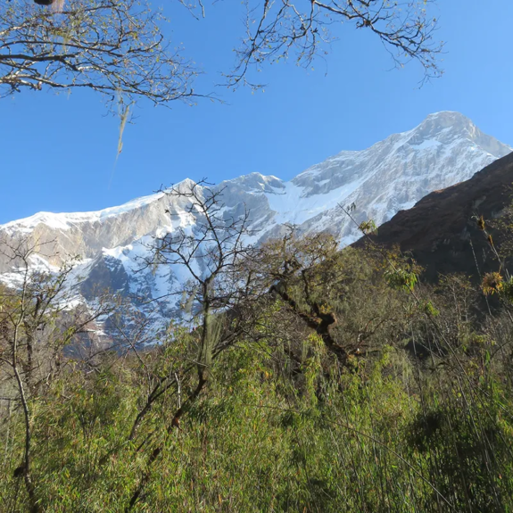 On a way to Italian Base Camp