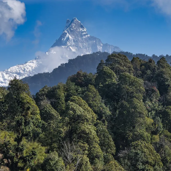 mardi himal view
